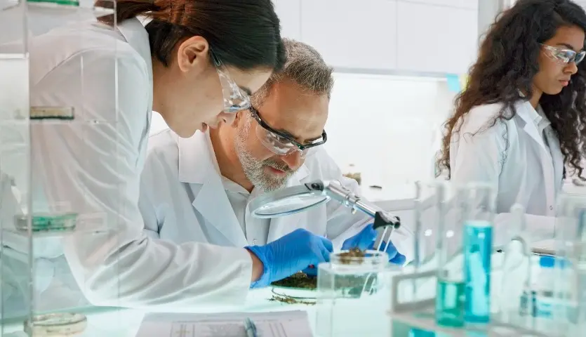 industria farmacéutica