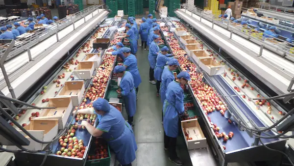 Empleo y productividad en Chile: los retos de un nuevo ciclo económico